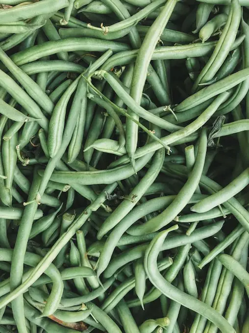 Green Beans FODMAP: Everything You Need To Know - Yummyble