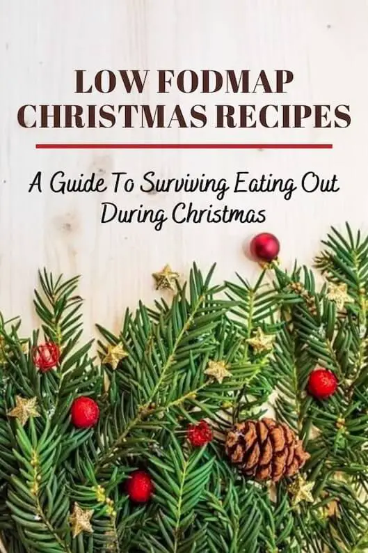 Low Fodmap Christmas Dessert Recipes